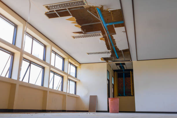 Best Carpet water damage restoration  in Basking Ridge, NJ