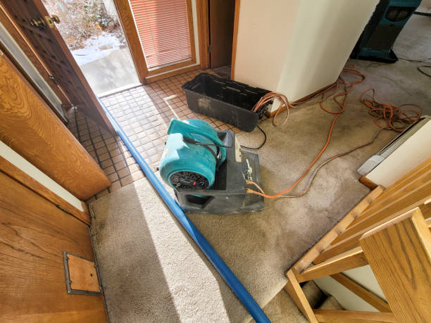  Basking Ridge, NJ Water damage restoration Pros