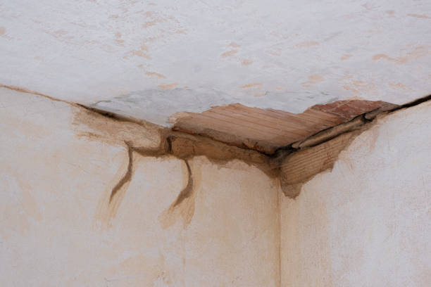 Best Professional water damage repair  in Basking Ridge, NJ