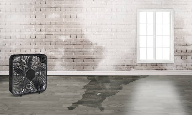 Water damage restoration mold remediation in Basking Ridge, NJ