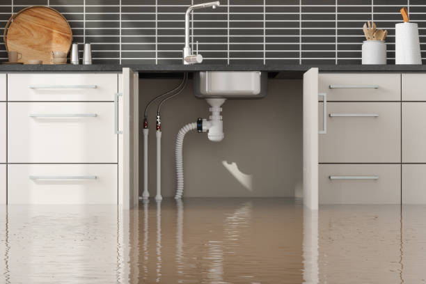 Best Water damage restoration cost  in Basking Ridge, NJ