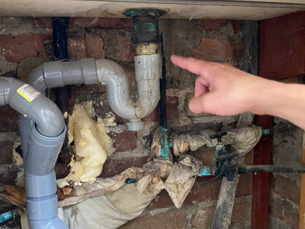 Best Flooded house restoration  in Basking Ridge, NJ