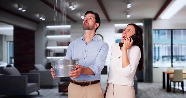 Best Flood damage cleanup  in Basking Ridge, NJ