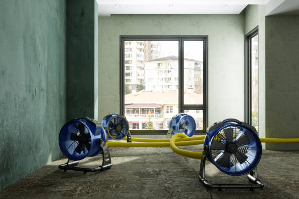 Best Basement water damage restoration  in Basking Ridge, NJ