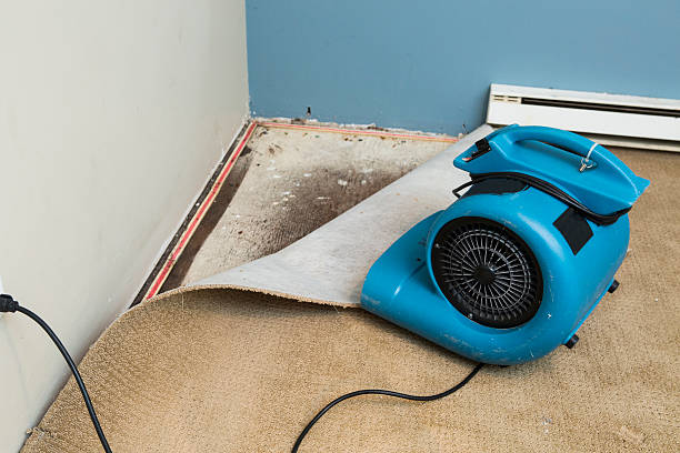 Best 24/7 water damage repair  in Basking Ridge, NJ